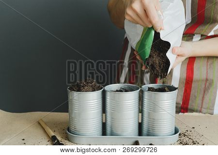 Woman Pour Soil In Metallic Pot, Planting Greenery Concept, Stock Photo Image