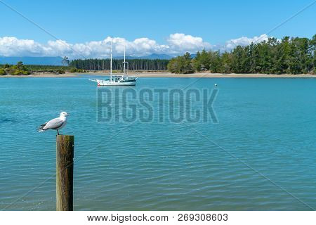 Focus On Seagull On Post In Bay