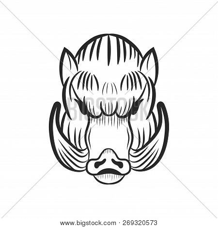 Angry Wild Boar Head Isolated On White Background. Rough Aper Face With Fangs For Your Design.