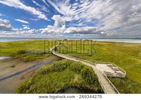 Boardwalk In Summer At Hornborgasjon Marshland Nature Reserve