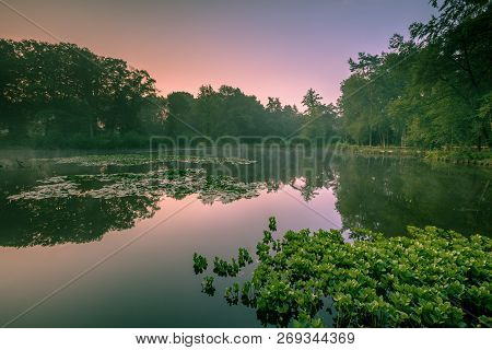 Spring Source Pond In Natura 2000 Nature Reserve Springendal On A Foggy Morning Sunrise In August