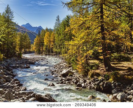 The River In Ferret Valley During The Autumn Season With The Mont Blanc Wall In The Background And C