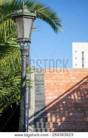 Beautiful Palm Tree Alley With Vintage Lanterns In A Park In Autumn, Europe, Spain, Oviedo