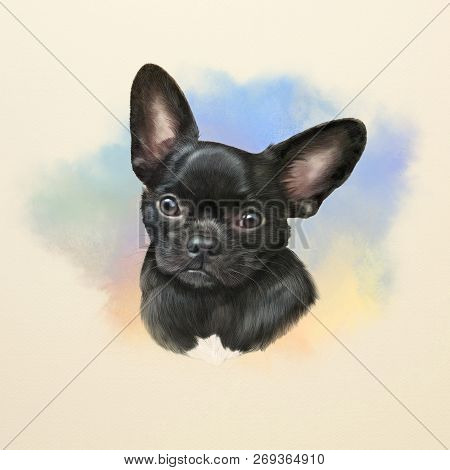 The Chihuahua, Popular Mini Dog. Head Of A Black Toy Terrier On Watercolor Background. Watercolor An