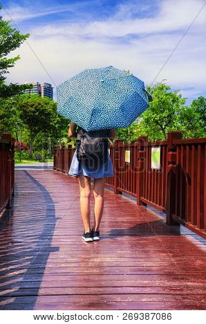 A Chinese Woman Holding An Umbrella Walking On A Wooden Bridge Over Water Within The Futian Mangrove