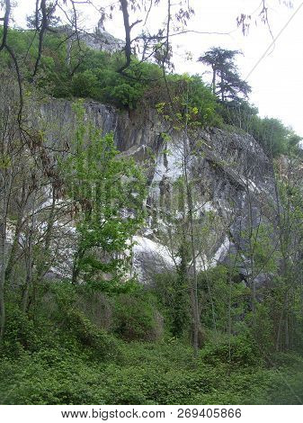 A Rock Face And Wood On A Mountain In Grenoble.
