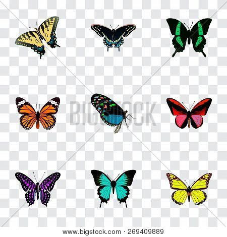 Set Of Beauty Realistic Symbols With Yello-wing, Danaus Plexippus, Tiger Swallowtail And Other Icons