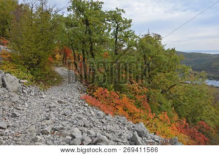Autumn Colours On Display In The Carso Karst Limestone Area Of Friuli, Near Doberdo In North East It