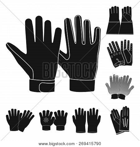 Vector Design Of Glove And Winter Icon. Set Of Glove And Equipment Vector Icon For Stock.