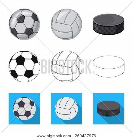 Vector Illustration Of Sport And Ball Icon. Collection Of Sport And Athletic Vector Icon For Stock.