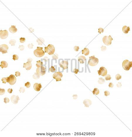 Gold Seashells Vector, Golden Pearl Bivalved Mollusks. Underwater Scallop, Bivalve Pearl Shell, Mari