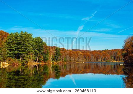 Forest Of Trees In Fall Reflecting On Calm Water In Harriman State Park, Ny.