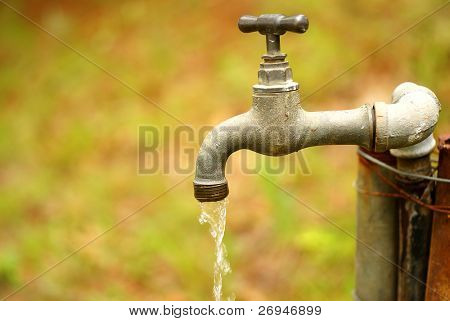 TAP