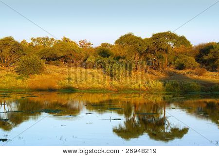 แม่น้ำ Letaba แอฟริกาใต้
