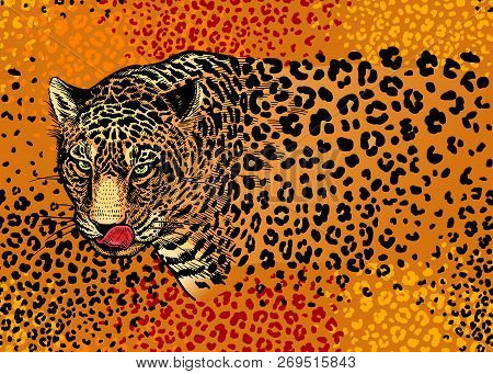 Leopards. Seamless Pattern With Animals Of Wildlife. Modern Decor Beast Style. Vector Illustration. 