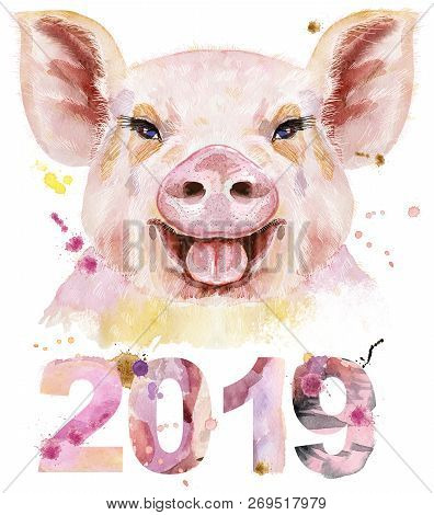 Watercolor Portrait Of Pig With Year 2019 For Decoration