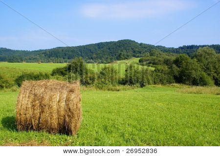 Haymaking (Bieszczady โปแลนด์) ใน