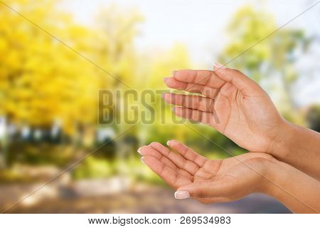 Black Woman's Hand Two Palm Up. Handbreadth Isolated On Blurred Park Background. Front View. Mock Up