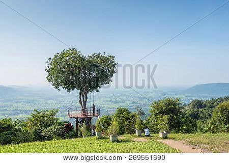 Phitsanulok ,thailand - October 12,2018 : The Thai Tourist Enjoy With Swing On Giant Heart Tree In 