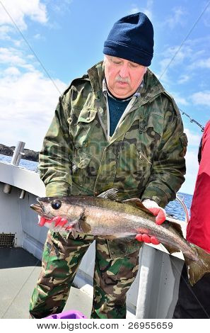Pesca d'altura - pescatore con pollock