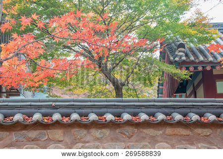 The Colorful Fall Foliage Beyond The Wall Of Roof Tile