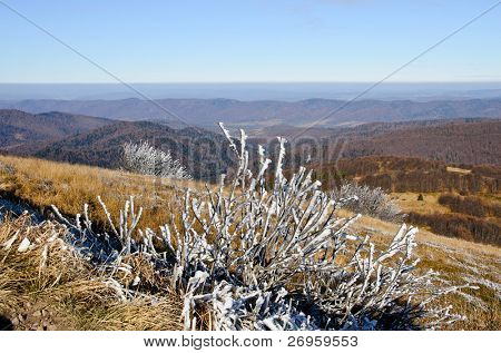 Połoninę Wetlińską, Bieszczadach, Polska