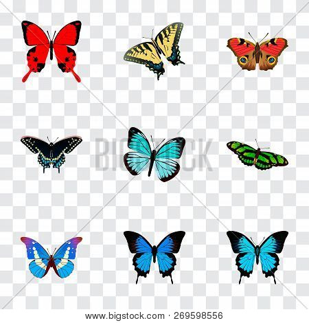 Set Of Butterfly Realistic Symbols With Morpho Aega, Polyommatus Icarus, Demophoon And Other Icons F