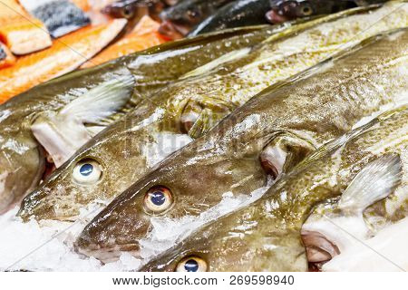 Fresh Cod And Salmon On Ice For Sale At Billingsgate Fish Market In Poplar In London