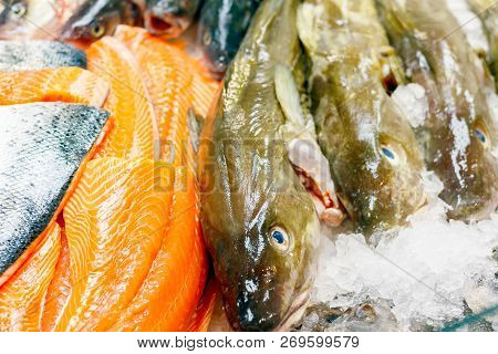 Fresh Cod And Salmon On Ice For Sale At Billingsgate Fish Market In Poplar In London
