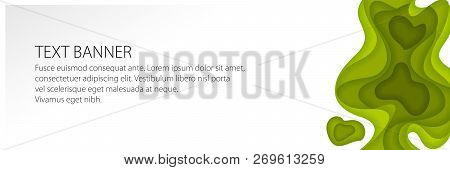 Modern Abstract Banner, Green Gradient Fluid Shapes, Vector Illustration