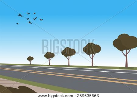 Vector Illustration Cartoon Automobile Highway. Planted Trees Along Road. Flying Birds In Sky. Route