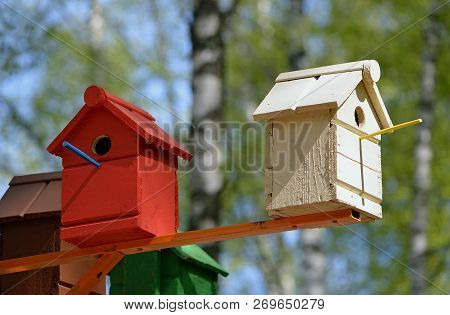 Multicolored Birdhouses For The Birds In The Park