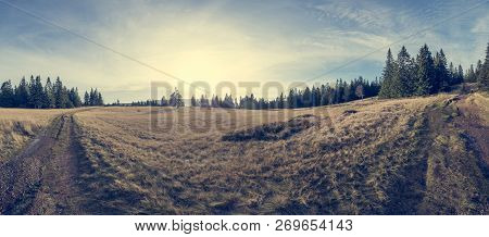 Spectacular Autumn Landscape With Meadow Surrounded By Pine Tree Forest.