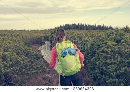Female Hiker Dancing On Wooden Boardwalk Simply Enjoying The Nature.