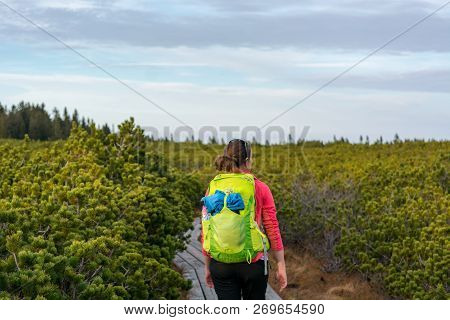 Attractive Female Hiker Walking Along Wooden Boardwalk In Nature Park.