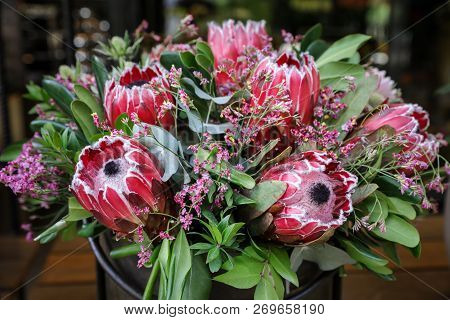 Beautiful Fresh Flower Arrangement Of Protea Macrocephala Flowers.