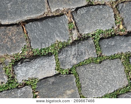 Cobblestone Close-up. Palermo Neighborhood. Buenos Aires, Argentina.