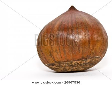 Gesztenye