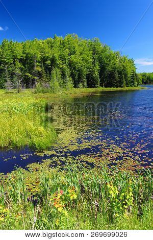 Mabel Lake In The Northern Highland American Legion State Forest Of Wisconsin