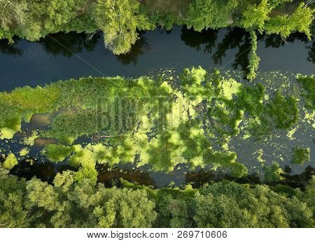 Aerial View Of The Water, Swampy Terrain And Meadows