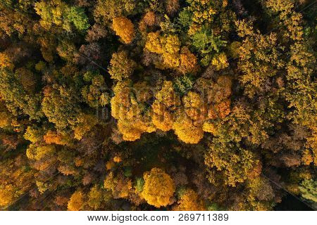 Aerial View Of The Water, Swampy Terrain And Meadows