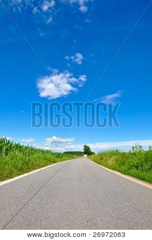 Strada attraversando le pianure del deserto