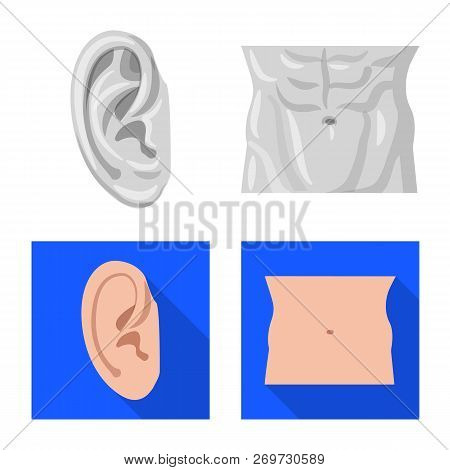 Vector Design Of Human And Part Sign. Set Of Human And Woman Stock Vector Illustration.
