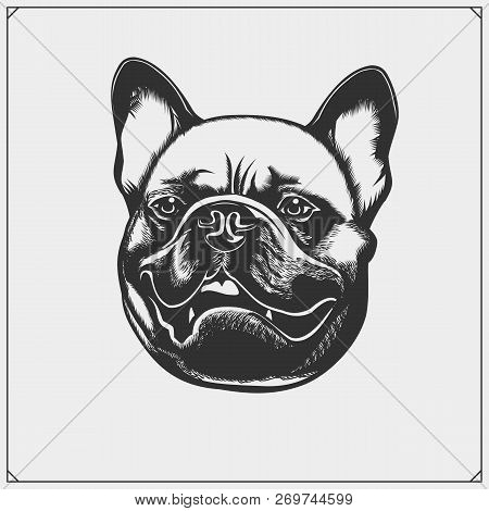 Cute Friendly French Bulldog Portrait. Emblem For Pets Shop. Print Design For T-shirts.