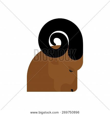Ram Head Isolated. Horned Sheep Face. Farm Animal