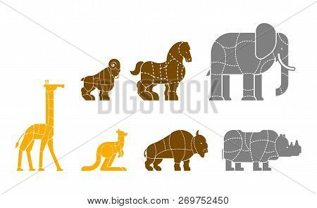 Cut Of Meat Set Beast Giraffe And Kangaroo. Bison And Rhinoceros. Silhouette Scheme Lines Of Differe