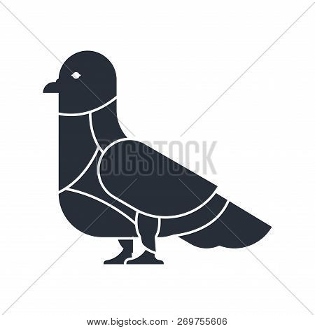 Cut Of Meat Dove. Pigeon Silhouette Scheme Lines Of Different Parts Meat. How To Cut Flesh Street Bi