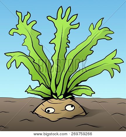 Root Vegetable Strange Arms Funny Cartoon Color Drawing, Vector Illustration, Horizontal
