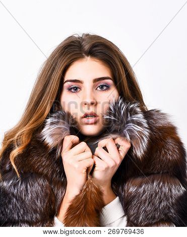 Woman Makeup And Hairstyle Posing Mink Or Sable Fur Coat. Winter Elite Luxury Clothes. Female Brown 