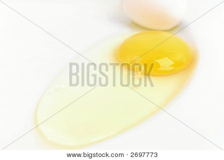 Ovo